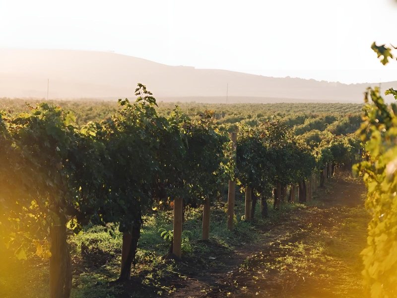 3af9d627-240e-4926-bf17-4ec0986c0148_restored